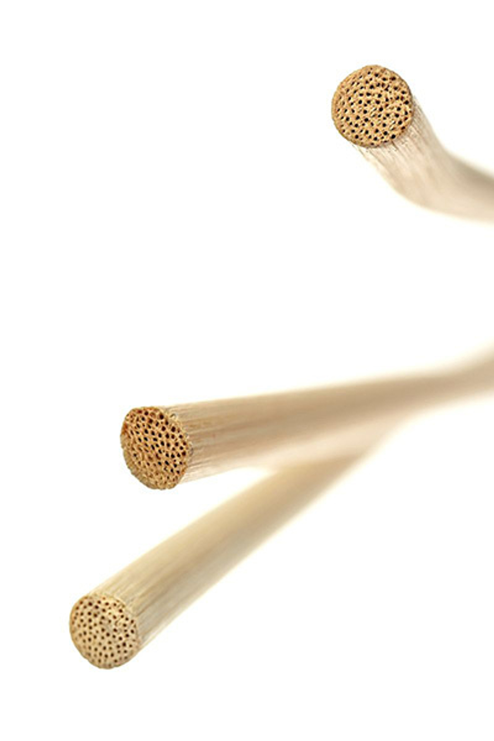 Розги из лозы 60см ToyFa Theatre 700039