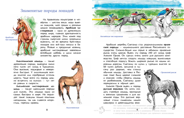 Кони. Дикие, благородные, знаменитые