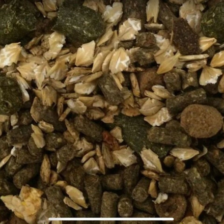 Лайт Иммуно