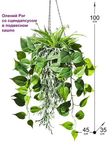 Искусственные растения Олений Рог и Сциндапсус в подвесном кашпо