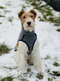 Свитер для собак одежда для басенжди