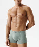 Мужские трусы шорты Atlantic, набор из 2 шт., хлопок, светло-зеленые + графитовые, 2RMH-007