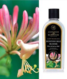 Аромат для ламп Цветущая жимолость, Ashleigh & Burwood