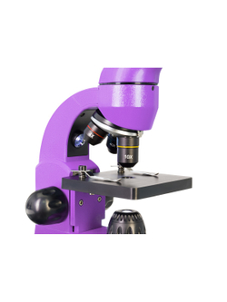 Микроскоп Levenhuk Rainbow 50L Аметист