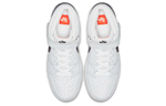 Кроссовки Nike Dunk Sb Pro Iso