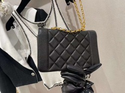 Сумка CHANEL 20 см