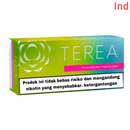 Стики Terea Bright wave табак с зелёными фруктами и ментолом (Индонезия) (блок - 10 пачек)