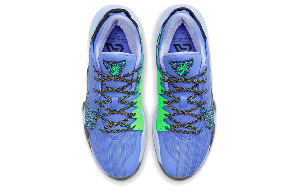 Кроссовки Nike Freak 2 Play For The Future