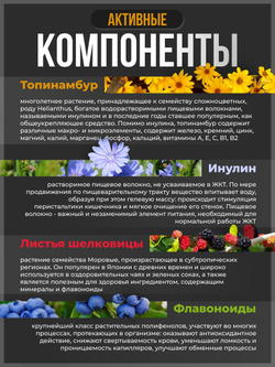 Природный пребиотик Инулин, топинамбур и листья шелковицы для защиты и здоровья кишечника, нормализации сахара в крови, 150 гранул