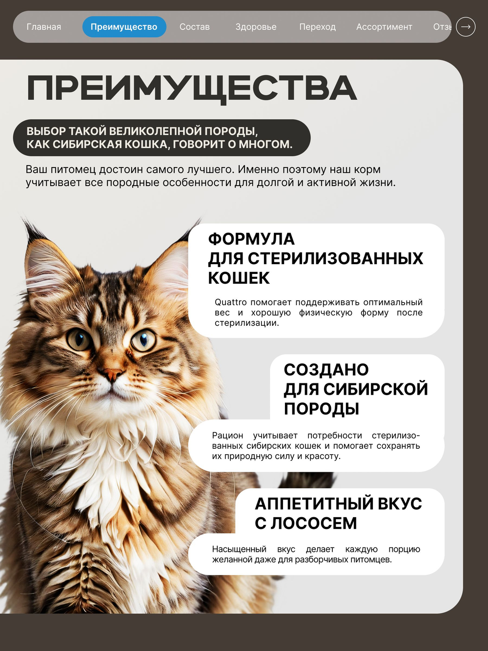 Корм сухой для стерилизованных кошек породы Сибирская, с лососем, 400 гр, QUATTRO
