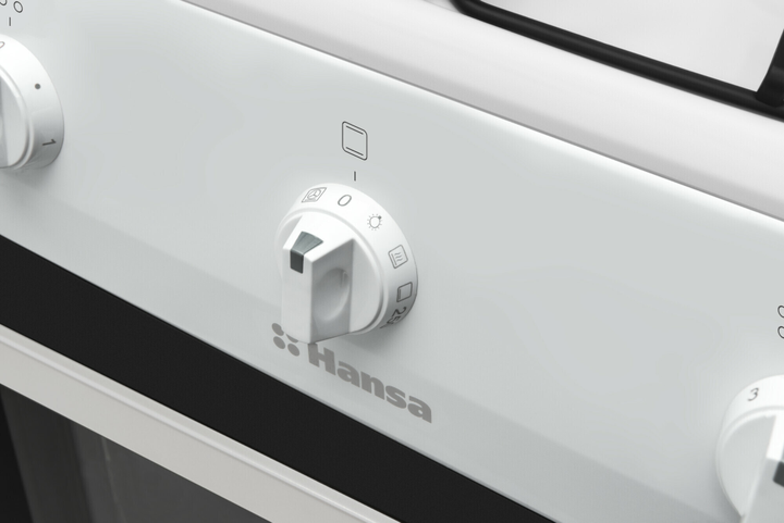 Газовая плита Hansa FCGW510009H