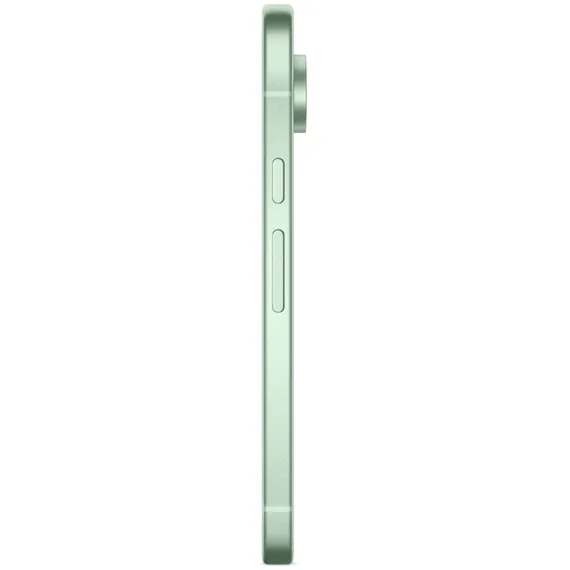 Смартфон Google Pixel 9 256 ГБ («Зимнезелёный» | Wintergreen) (версия Global)