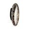 Настенный светильник MODESTYLE MS.6512.280 BK