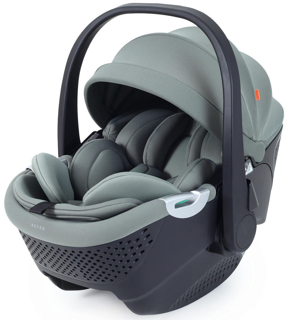 Детская коляска Rant Teo Soft 3 в 1 с автокреслом Aster Zero Olive Graphite