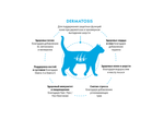 GANDORF VET DERMATOSIS сухой корм для кошек (2 кг)