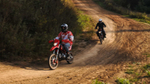Мотоцикл IRBIS TTR 150 PITBIKE