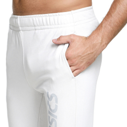 Мужские теннисные штаны ASICS Big Logo Training Pants Men - Grey