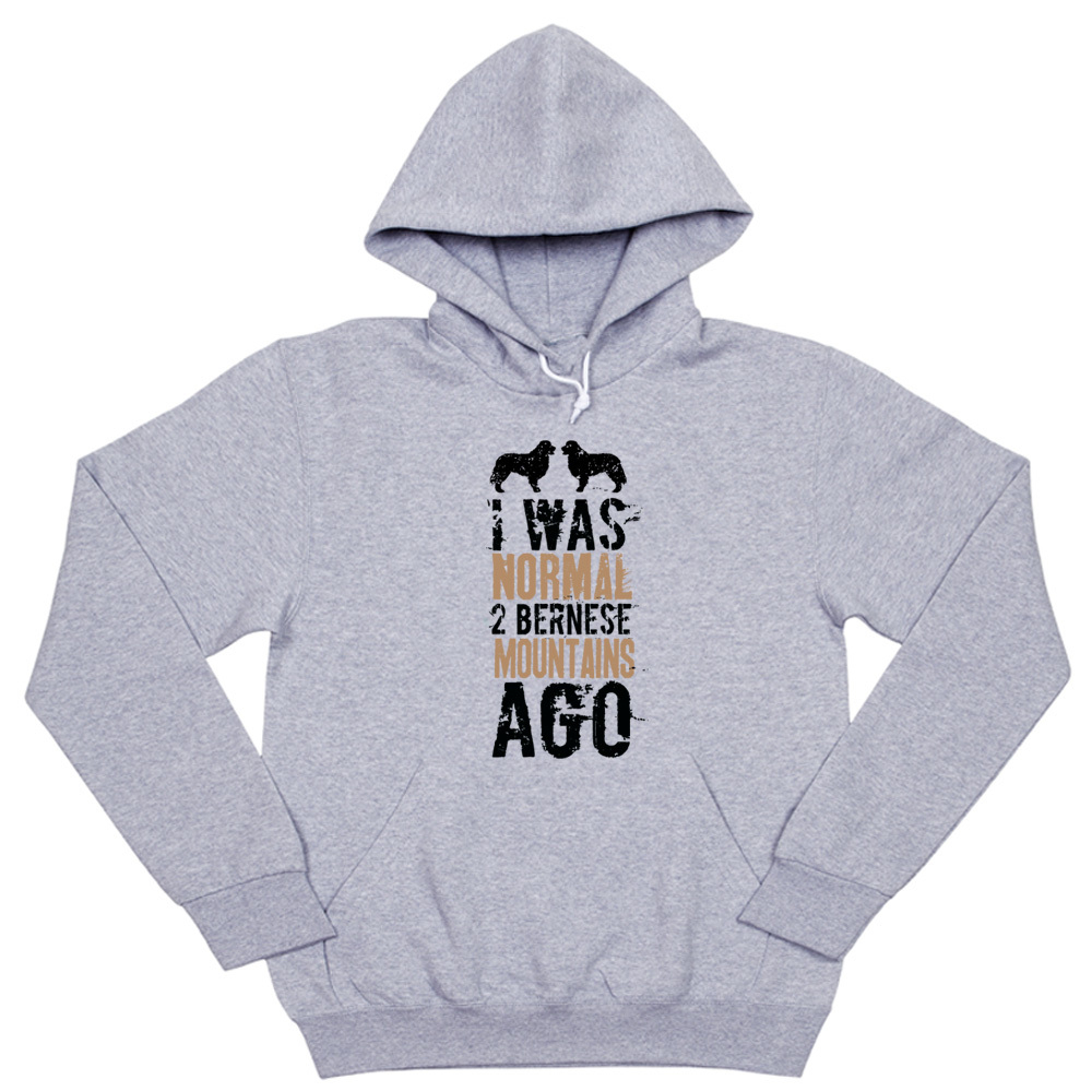 Толстовка "Был нормальным 2 Берна назад"