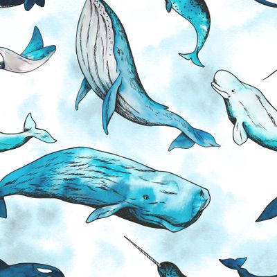 Акварельные киты