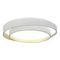 Потолочный светодиодный светильник ST Luce Crosby SLE6009-502-01
