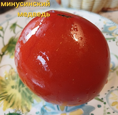 МИНУСИНСКИЙ МЕДВЕДЬ