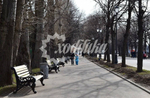 Скамейка чугунная «Парковая тишь»