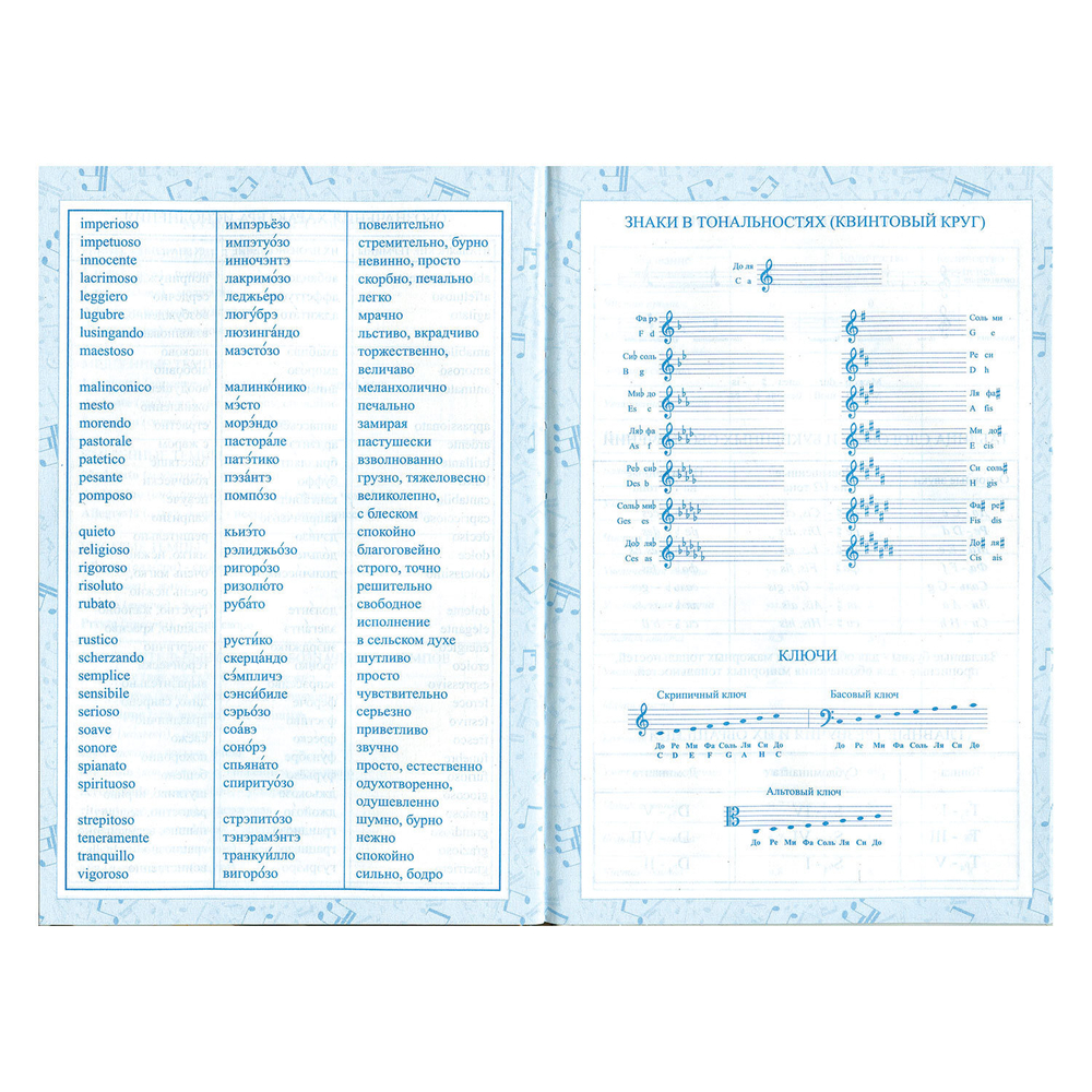 Дневник для музыкальной школы 140х210 мм, 48 л., твердый, BRAUBERG, справочный материал, "Музыка", 104975