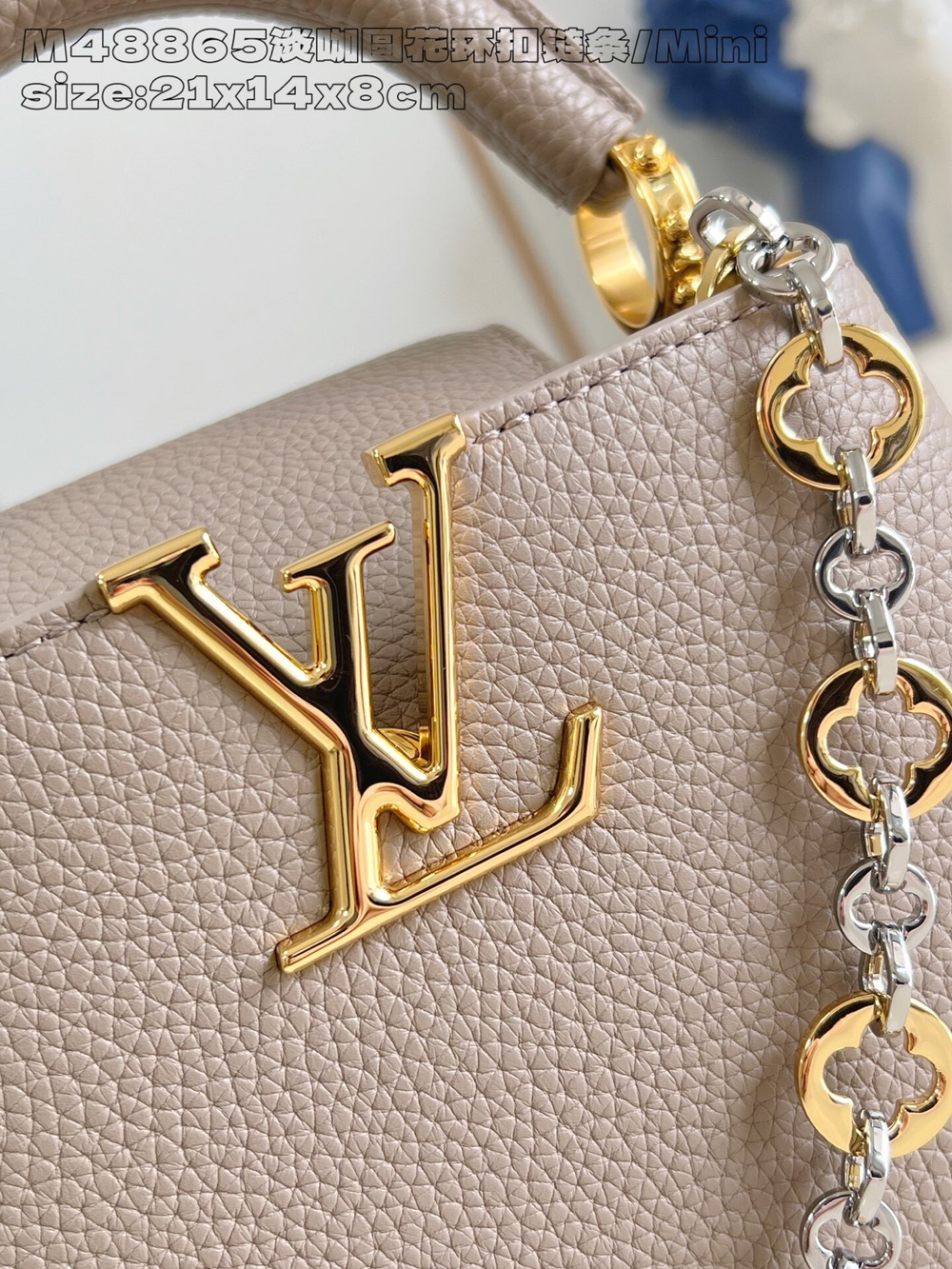 Louis Vuitton Capucines Mini