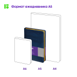 Ежедневник недатированный, А5, 160л., кожзам, Berlingo "xGold", зол. срез, синий