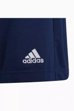 Шорты adidas Entrada 22 Training Junior