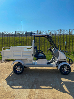 Гольфкар GreenCamel A2C (2+Cargo 2500W 225/40-10' литые)