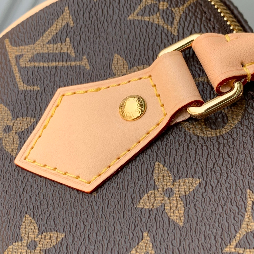 Louis Vuitton Speedy 20