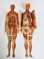 "Новый способ лечения. Лечение целебными силами природы."  М. Платен. 1906 г.