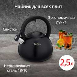 Чайник для плиты Tefal Intuition 2.5 л N4180417