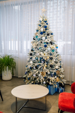 Заснеженная Ель «Полярная ночь»