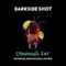 DARKSIDE SHOT - Столичный Бит (30г)