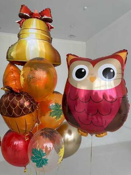 Набор шаров "Сова знаний"