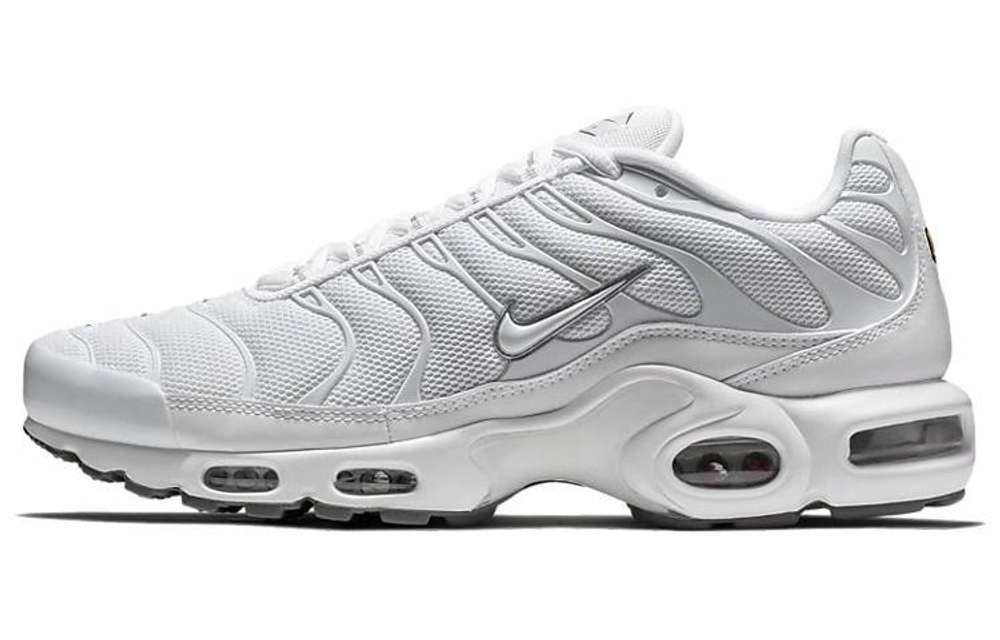 Кроссовки Nike Air Max Plus