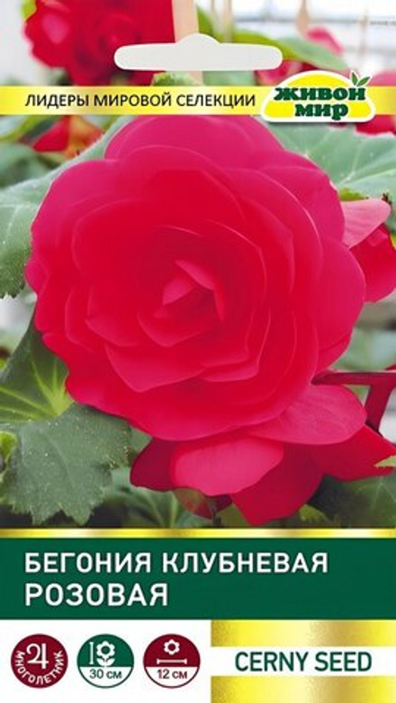 Бeгoния клубневая "ЖМ. Рoзoвaя" 10шт, Чехия.