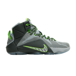 Кроссовки Nike Lebron 12 Dunk Force 12