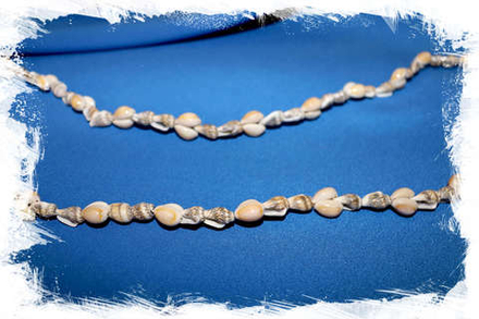 Бусы из морских ракушек бежевые "Насса и Ципрея Аннулус"