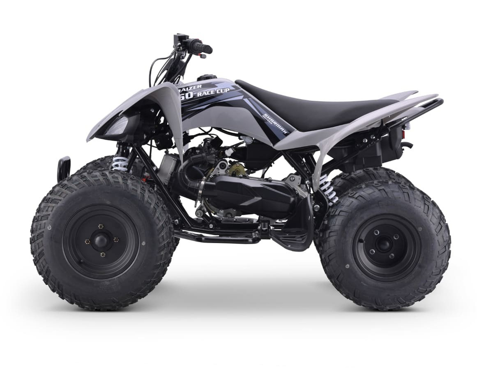 Квадроцикл SHARMAX Raizer Race Cup 250