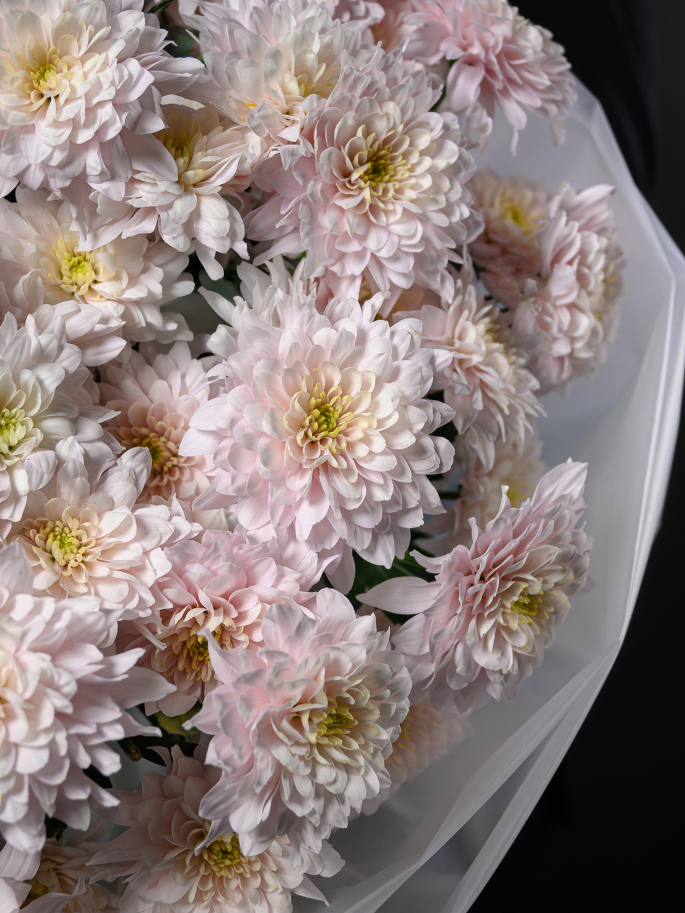 Моно букет из 15 цветных хризантем