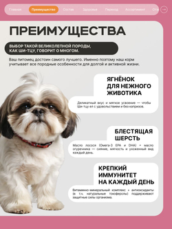 Корм сухой для взрослых собак породы Ши-тцу, с ягненком, 800 гр, QUATTRO