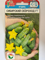 Огурец Сибирский скороход F1 7 шт СМО-178