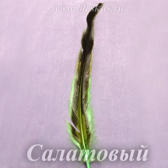 Перо петуха 25-30 см, Салатовый