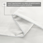 Комплект постельного белья Однотонный Сатин Премиум на резинке OCPR005
