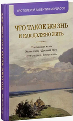 Что такое жизнь и как должно жить. Протоиерей Валентин Мордасов