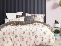 Постельное белье 2 спальное евро Asabella 1619-6