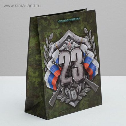 Пакет ламинированный вертикальный «Настоящий Защитник!», MS 18 × 23 × 10 см